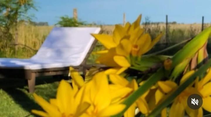 佩瓦霍La Narcisa别墅 外观 照片